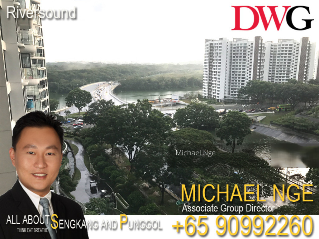 Riversound Residence (D19), Condominium #132240822